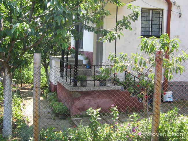 Спокойствие в двор от здравец и мушкато