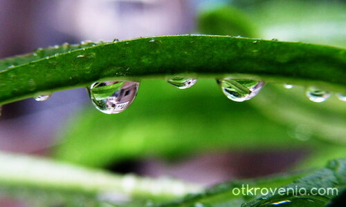 Отминал дъжд