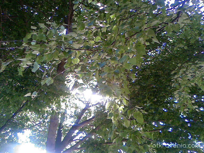 Проникваща светлина