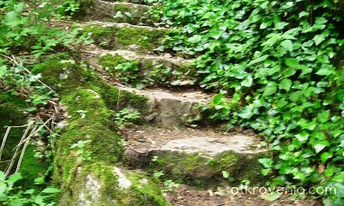 Пътят към горските феи