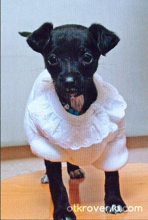 Моята малка Чери/на 2 месеца/