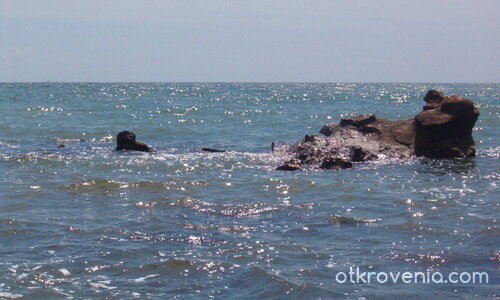 Самотно Островче