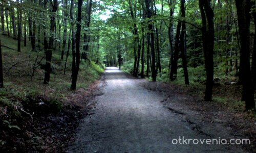 Път към вечността