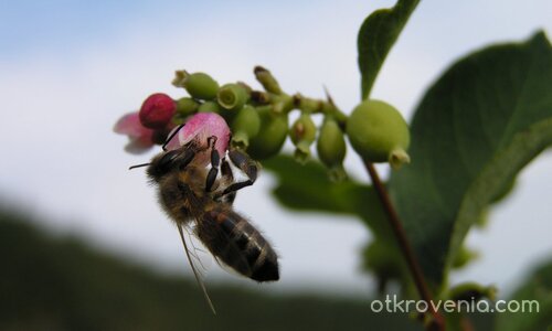 В края на работния ден