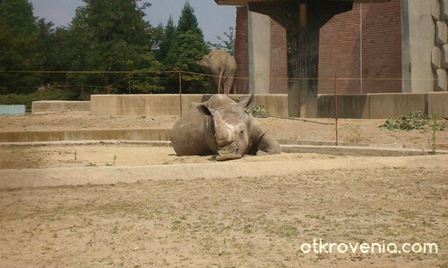 Колко е хубаво да си лежиш на припек...