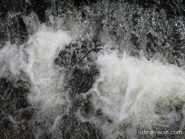Живата вода