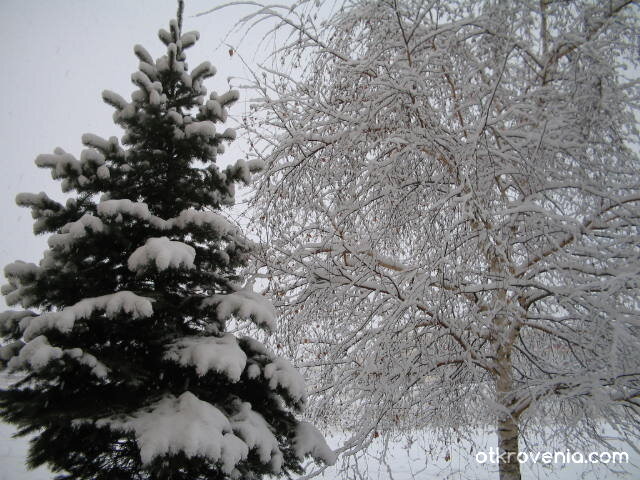 Зимна приказка