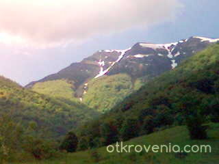 Родния Балкан