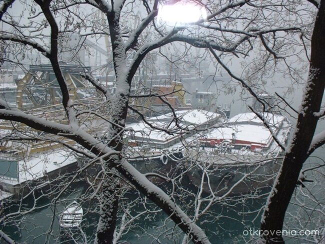 Снежно пристанище