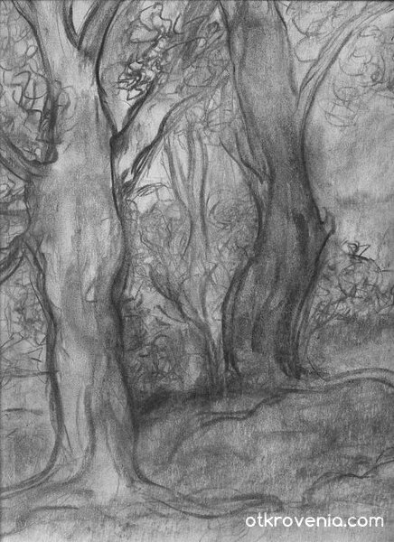 Столетници