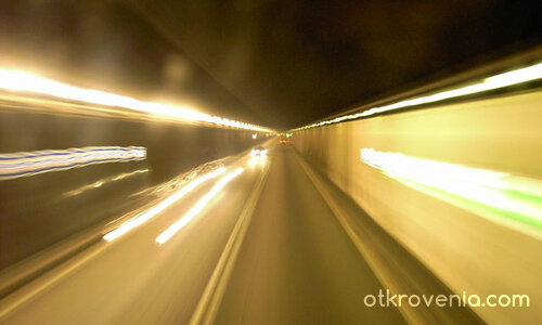 Скоростта на живота