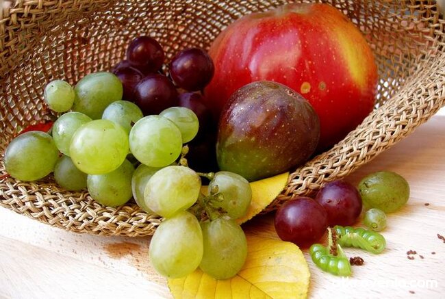 Шапка, пълна с есен