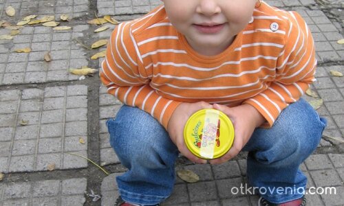 Есенно слънчице