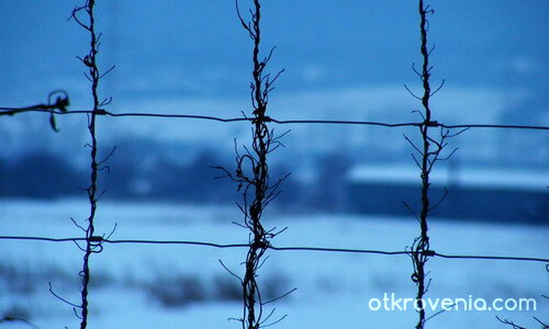 Зад оградата