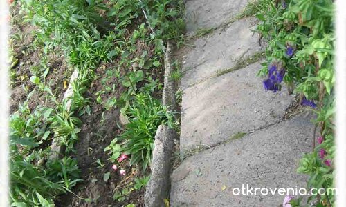 Дивата пътечка