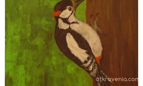 ПТИЦА  (масло)