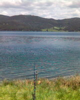 planinska (Димитрина Станчева)