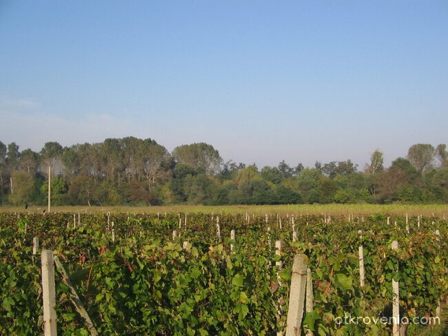 Моя родна земя...