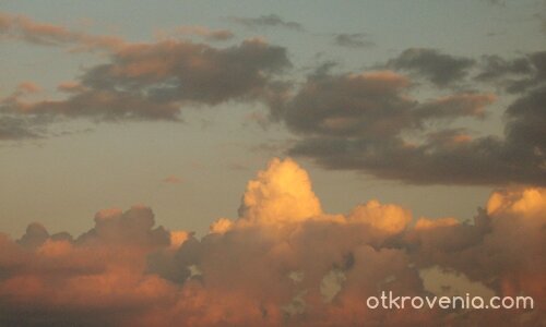 Спрях попътно да ти се порадвам...