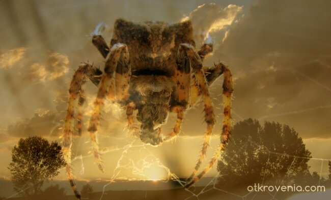 Дали ще можем да смъкнем оковите, дали?...