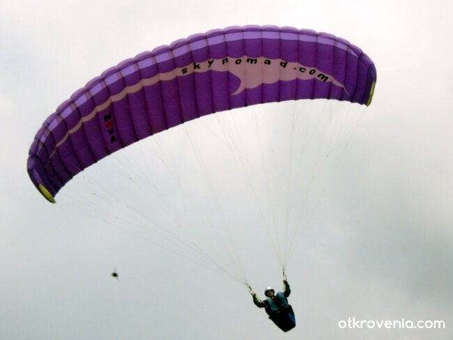 Лети, Леонардо, лети...