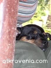 Следобедна дрямка