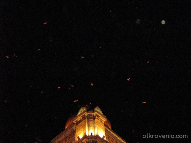 Здравей, Джонатан!