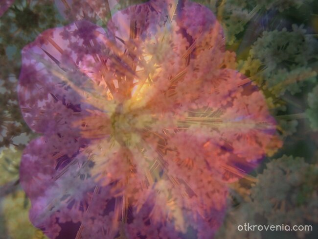 Сътворяване в залеза...