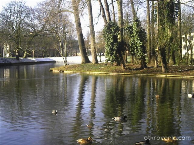 Спокойствие