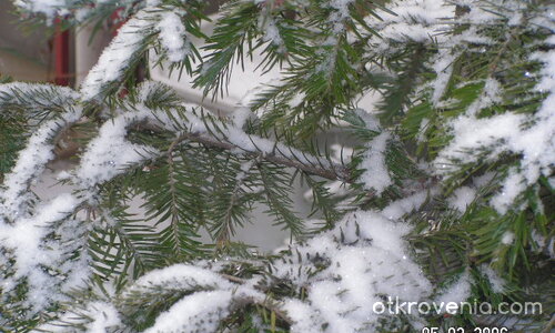 снежна красота