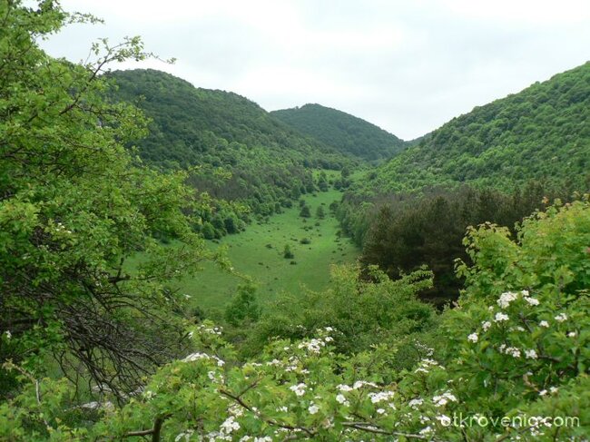 Път към вечността(близо до лобното място на Ботев)
