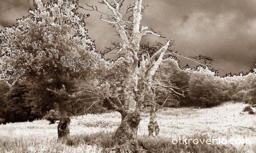 Кое ще издържи на бурята?