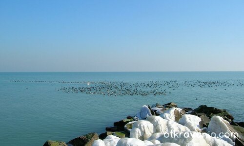 Принцесата и нейните слуги