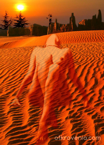 Залез в пустиня