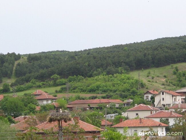 Искам да е пролет! [втори дубъл]