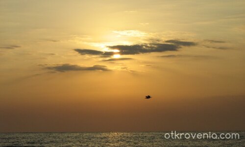 Винаги ще има "Джонатановци"