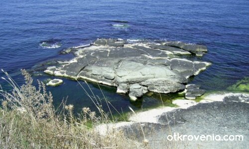 Морска Красота