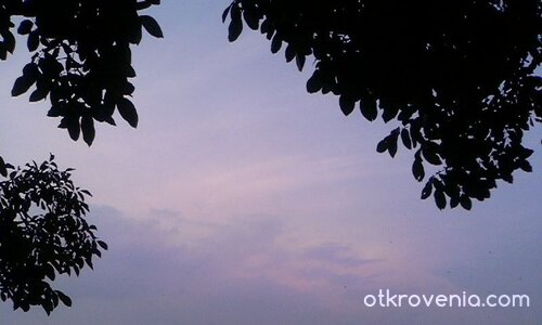 Лилаво небе