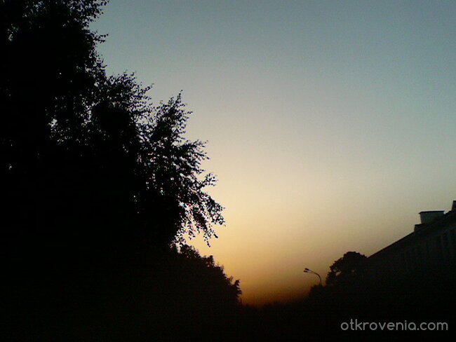 Дървета и залеза над Сопот