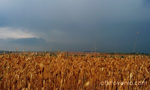 Преди бурята