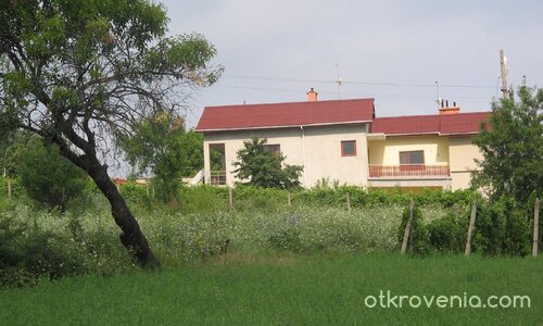 Вила в гората