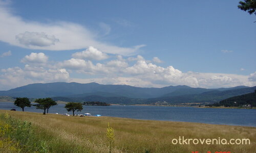 Как плуват само...