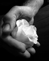 DeTe_Ha_Xaoca (Мег)