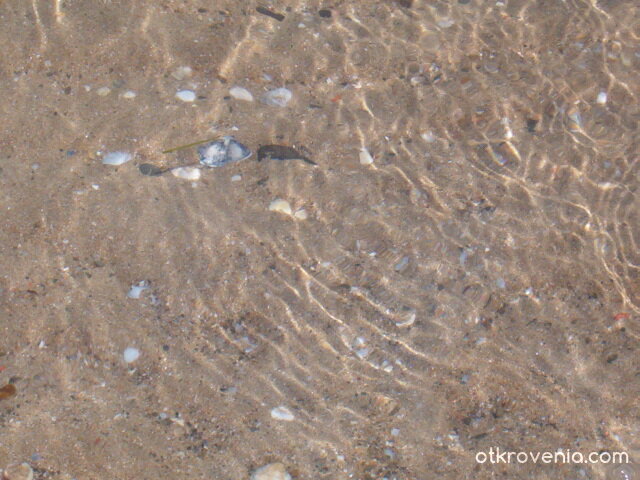 ах морето .. какво спокойствие лъха ..