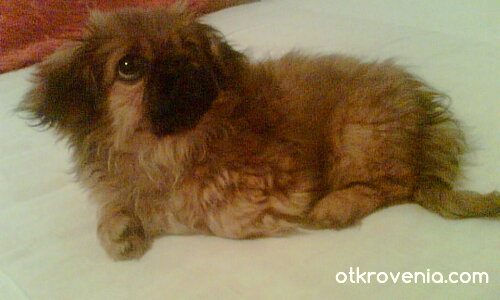 Какво ли е това горе?