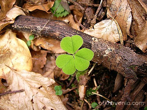 Да бъдеш различен(2)