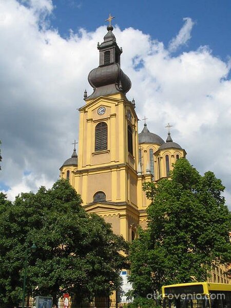 На красивия фон