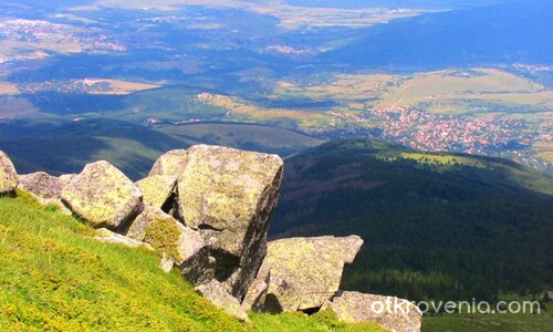 Малкия резен