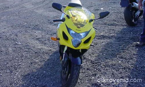 Какъв съм красавец?!Останалите могат само да ми завиждат,нали?!