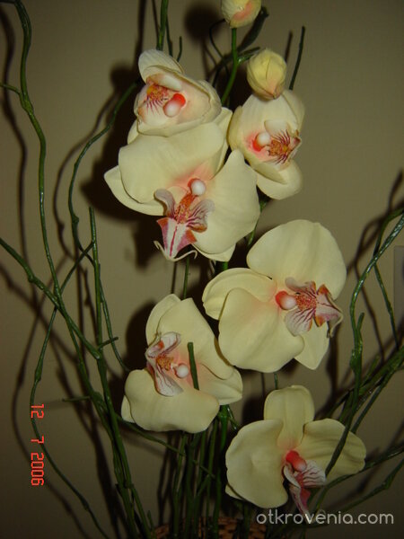 Изкуствени цветенца